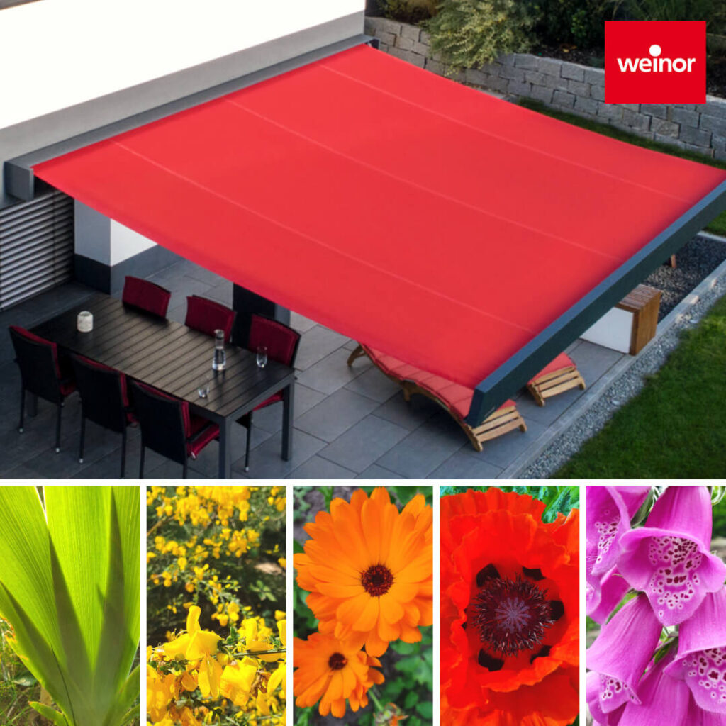 colour-your-garden-Farbenfroh